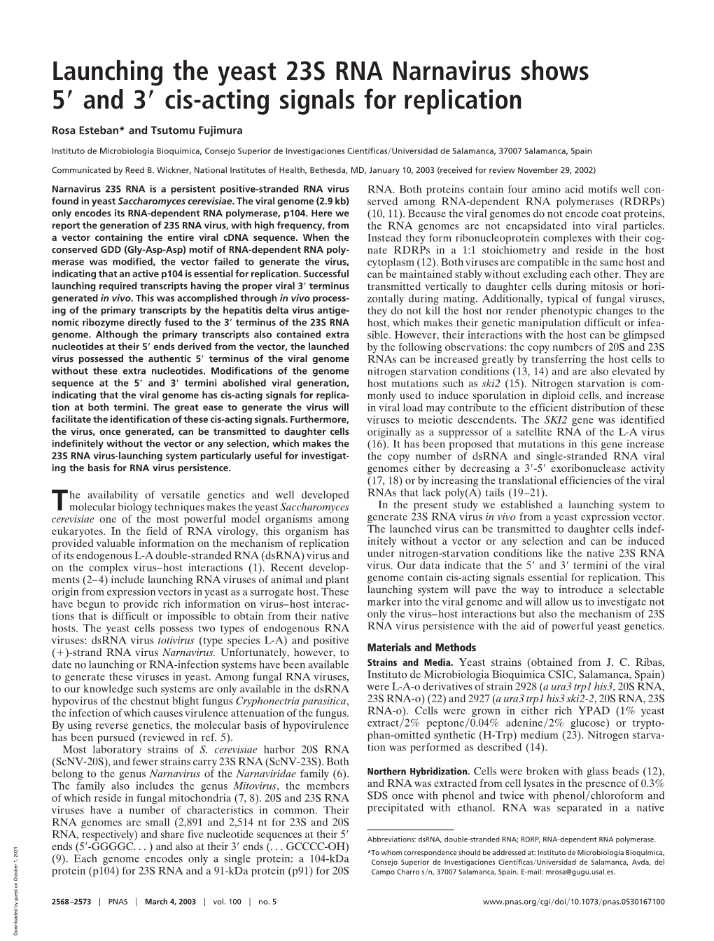 Launching the Yeast 23S RNA Narnavirus Shows 5 and 3 Cis