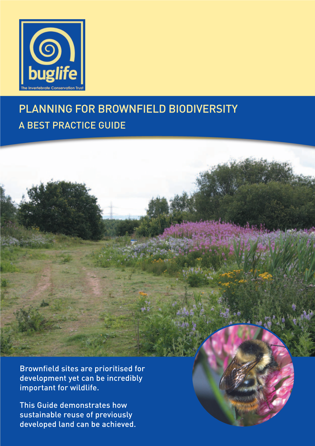 Planning for Brownfield Biodiversity a Best Practice Guide