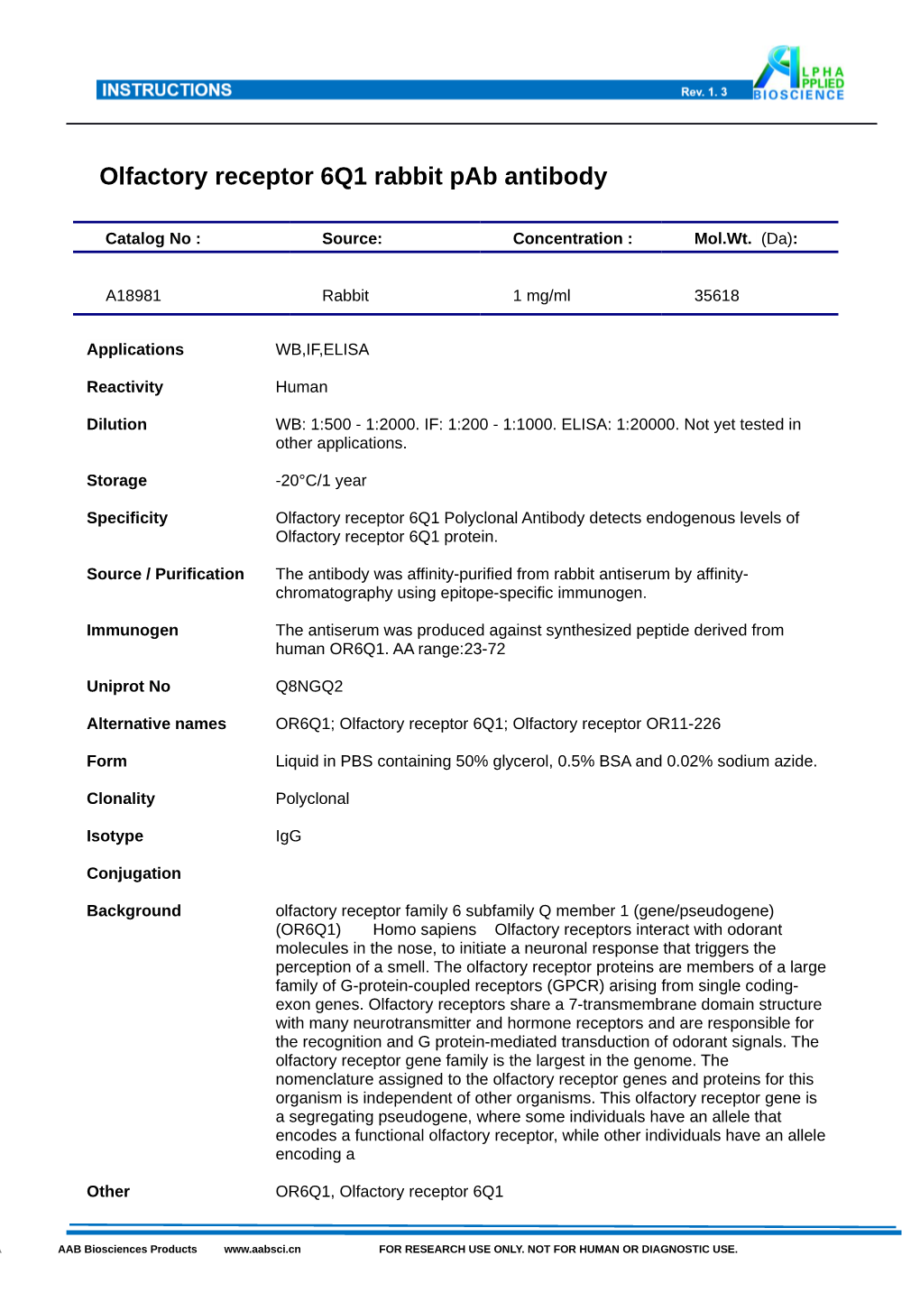 Olfactory Receptor 6Q1 Rabbit Pab Antibody