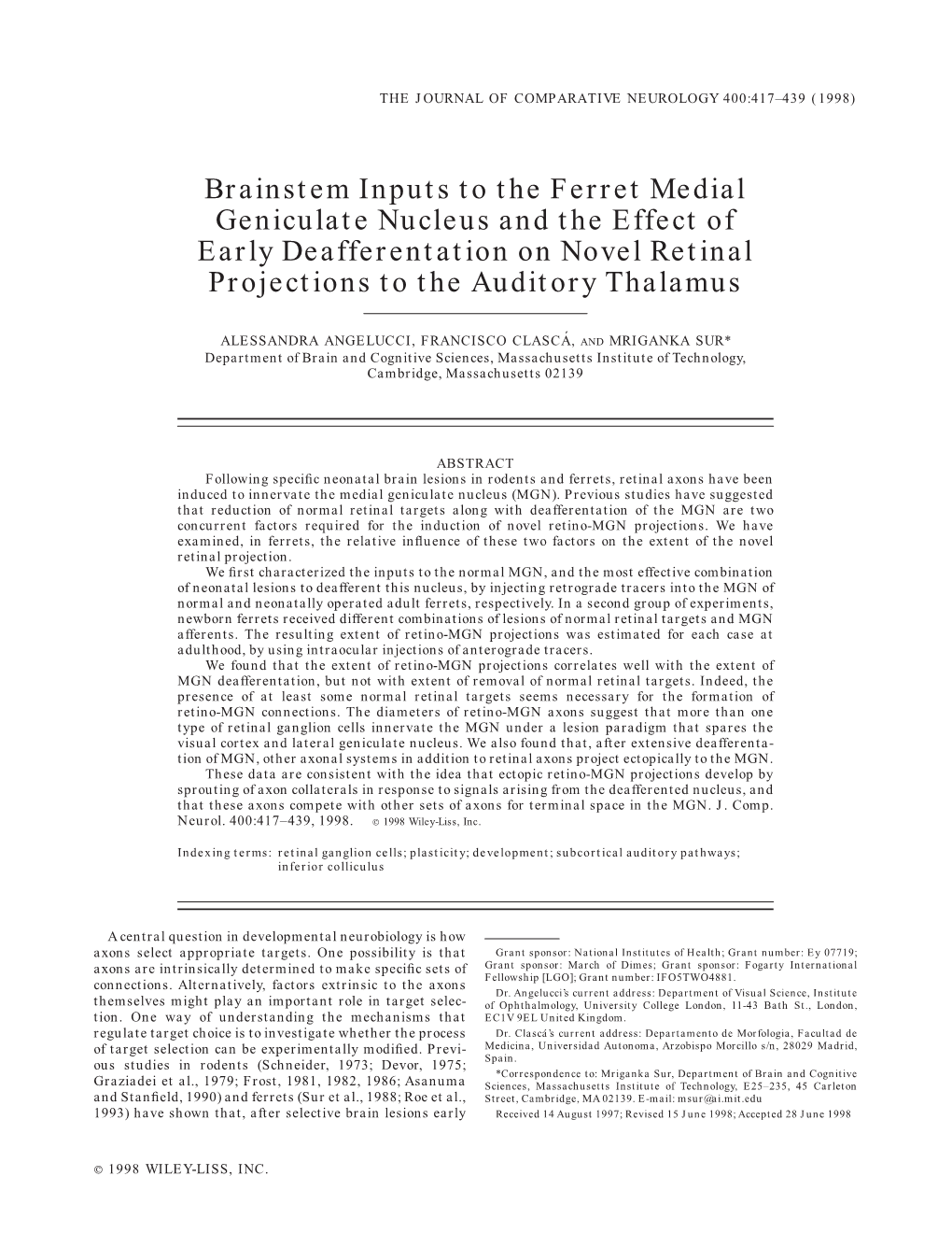 Brainstem Inputs to the Ferret Medial Geniculate Nucleus and the Effect of Early Deafferentation on Novel Retinal Projections to the Auditory Thalamus