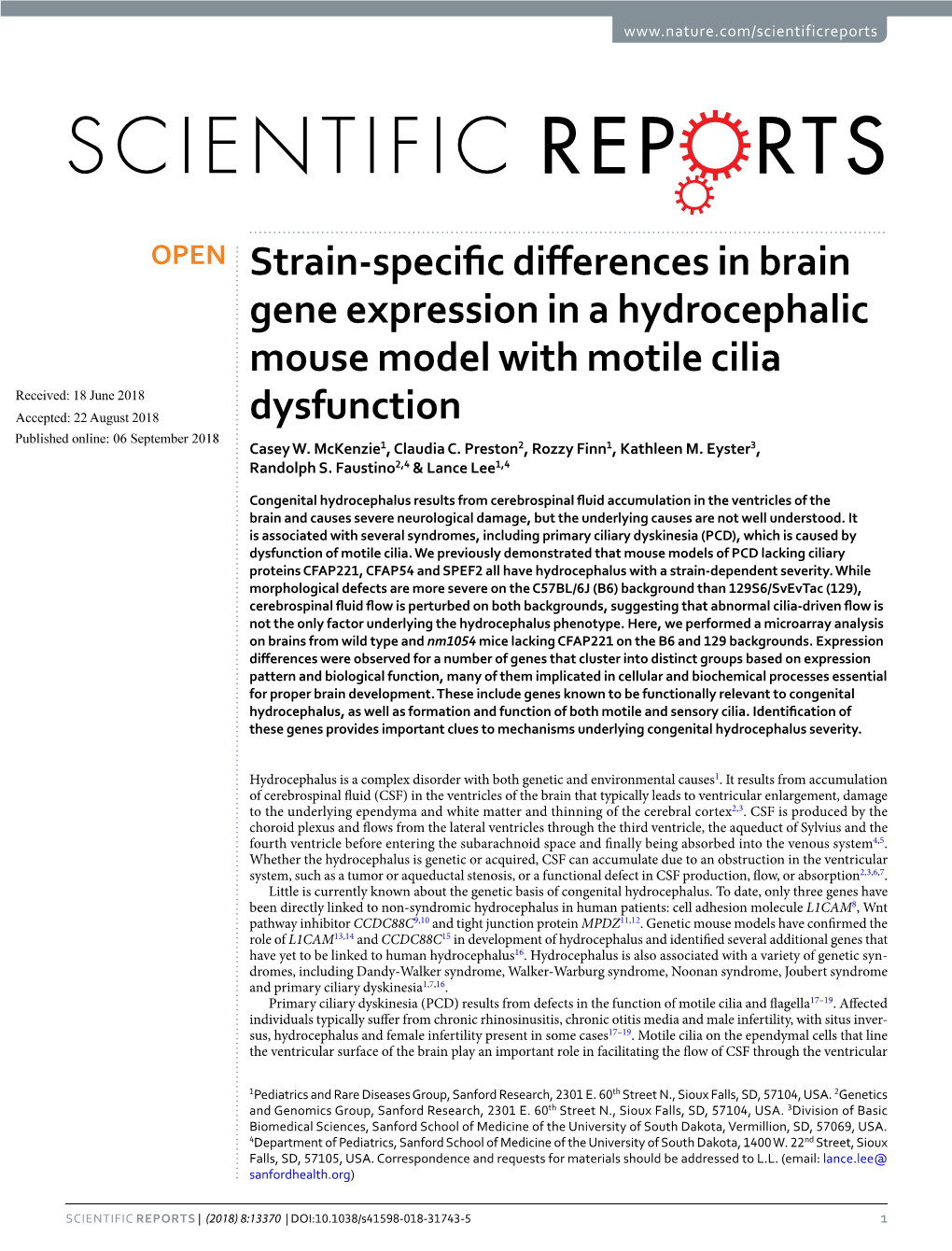 Strain-Specific Differences in Brain Gene Expression in a Hydrocephalic