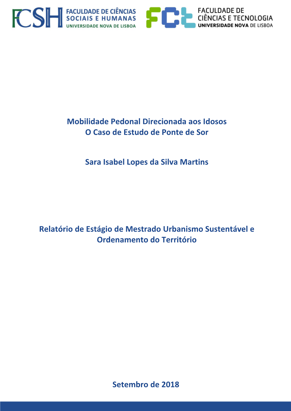 Mobilidade Pedonal Direcionada Aos Idosos O Caso De Estudo De Ponte De Sor