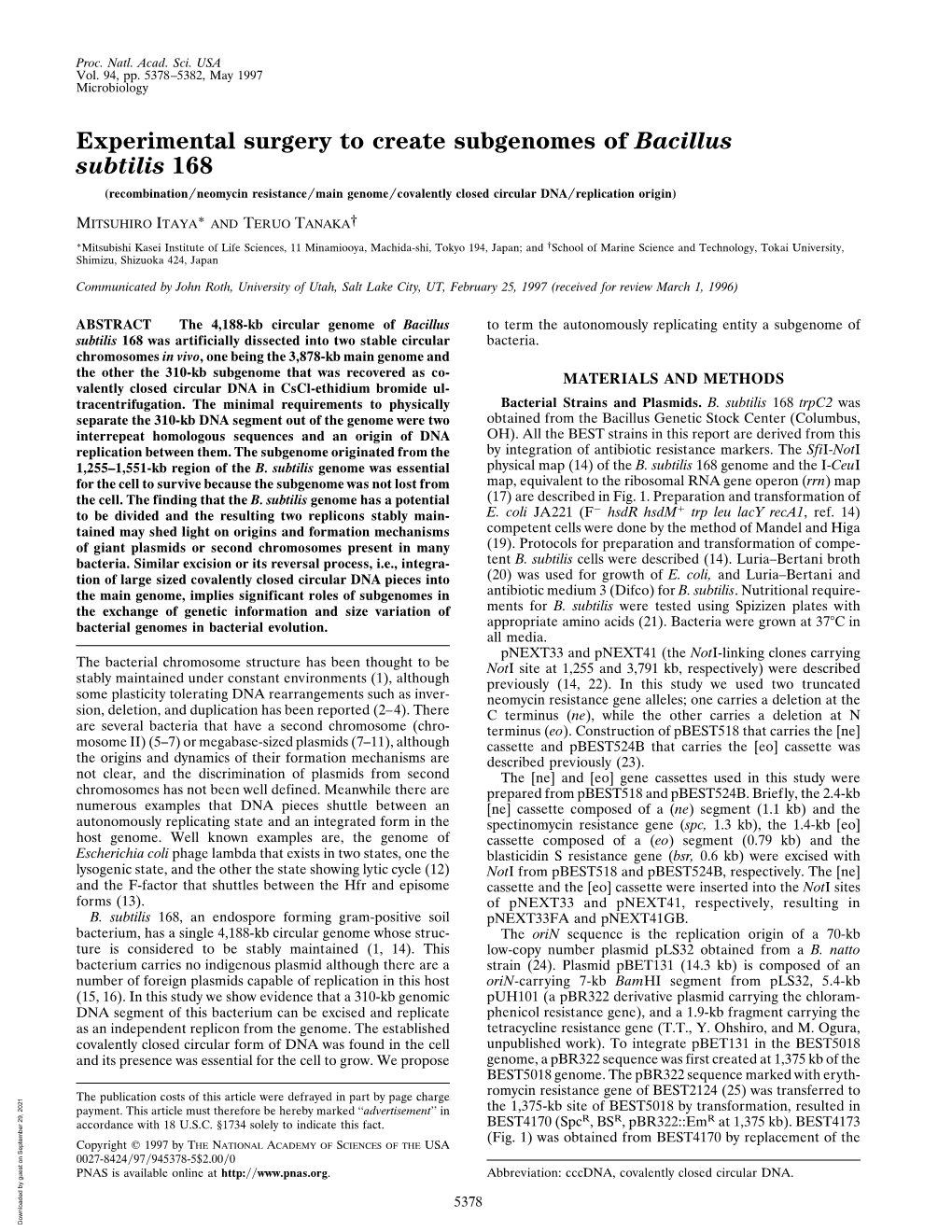 Experimental Surgery to Create Subgenomes of Bacillus Subtilis 168 (Recombination͞neomycin Resistance͞main Genome͞covalently Closed Circular Dna͞replication Origin)