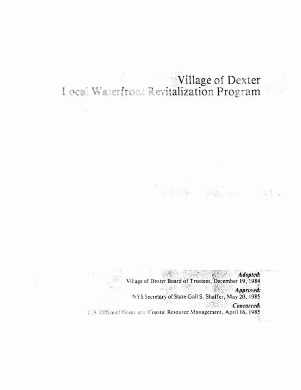 Village of Dexter Italization Program