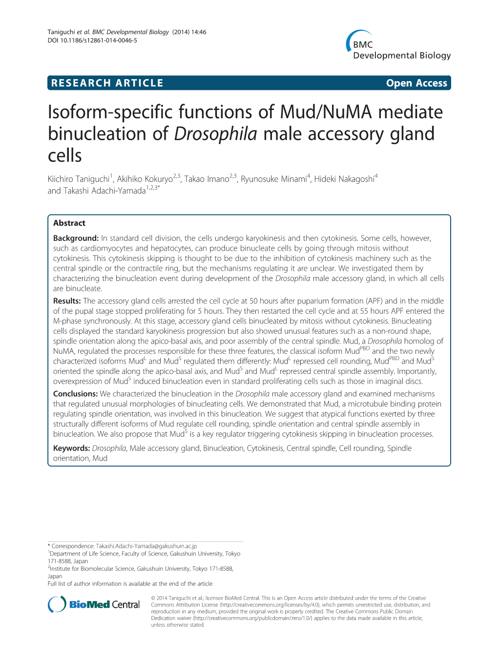 Isoform-Specific Functions of Mud/Numa Mediate Binucleation Of