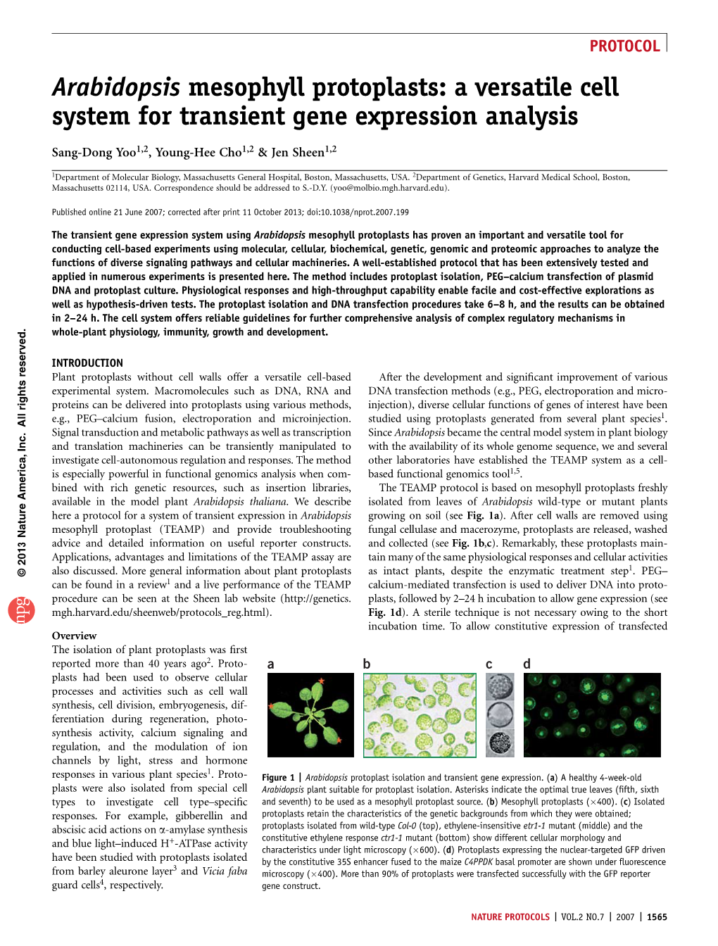 Arabidopsis Mesophyll Protoplasts: a Versatile Cell System for Transient Gene Expression Analysis Sang-Dong Yoo, Young-Hee Cho & Jen Sheen Nat