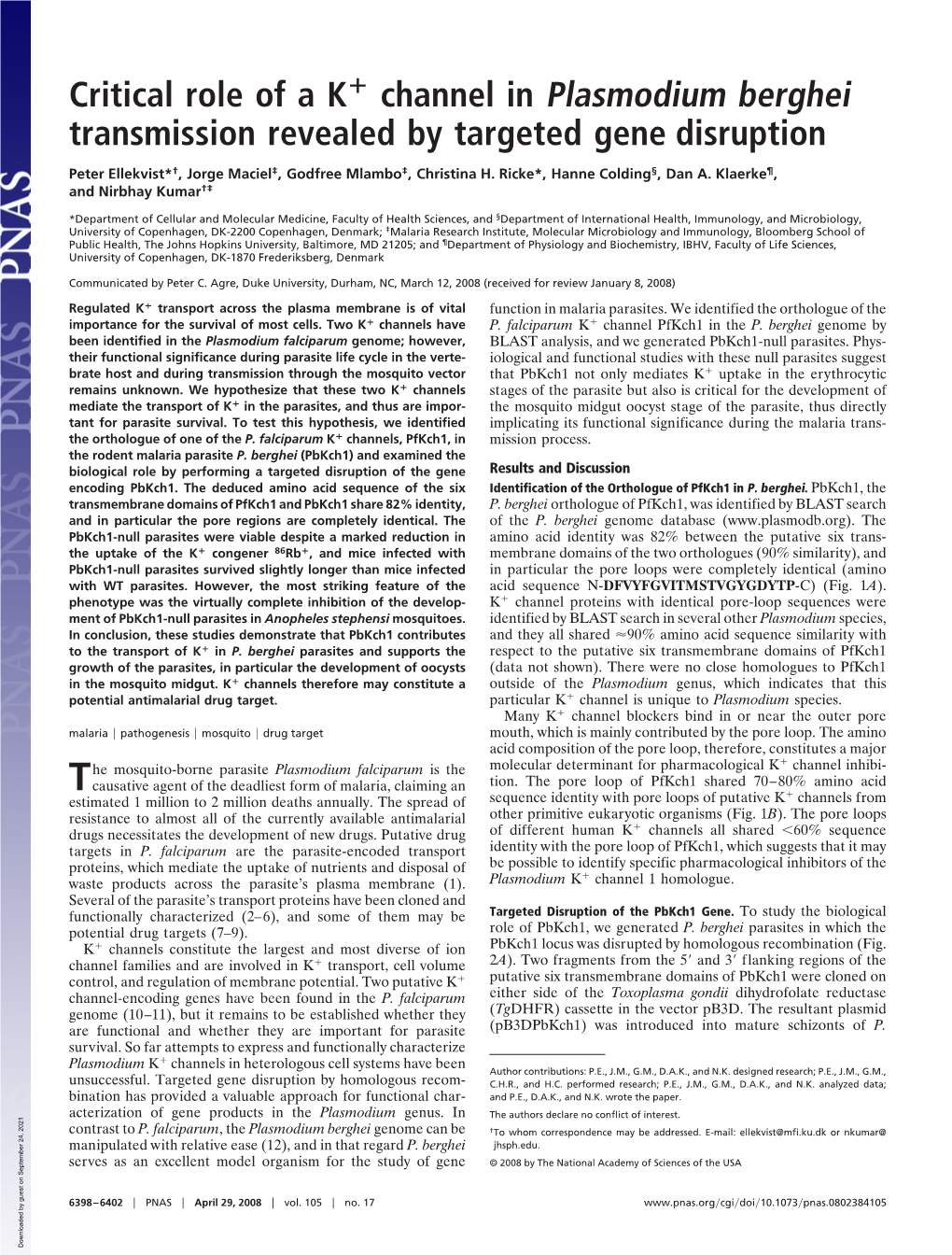 Critical Role of a K Channel in Plasmodium Berghei Transmission