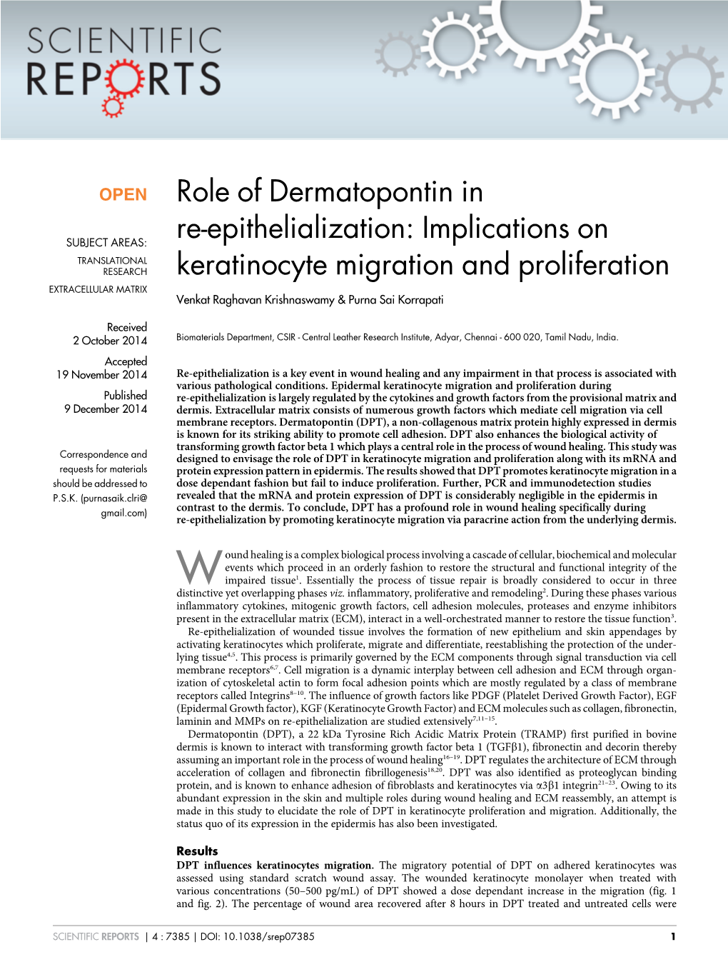 Implications on Keratinocyte Migration and Proliferation