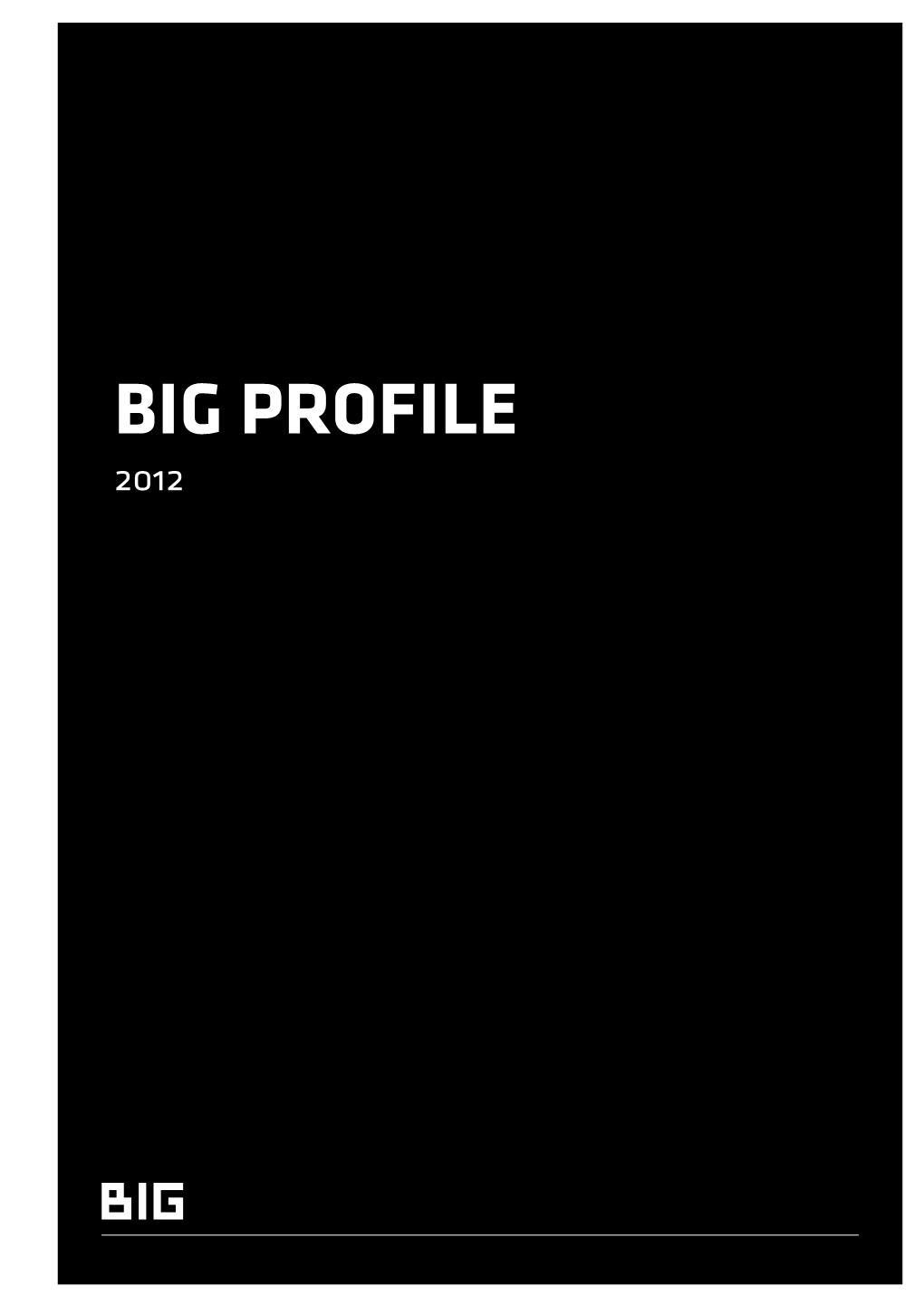 BIG Profile 2012 2 BIG PROFILE Big PROFILE BIG Introduction