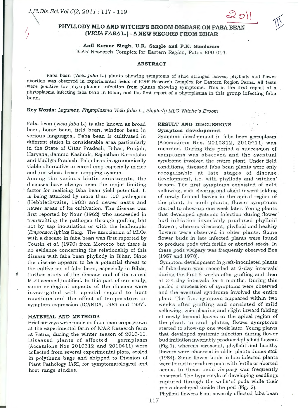 ~ O) \ \(!: L PHYLLODY MLO and WITCHE's BROOM DISEASE on FABA BEAN ~ J (VIC.IA FABA L.) - a NEW RECORD from BIHAR