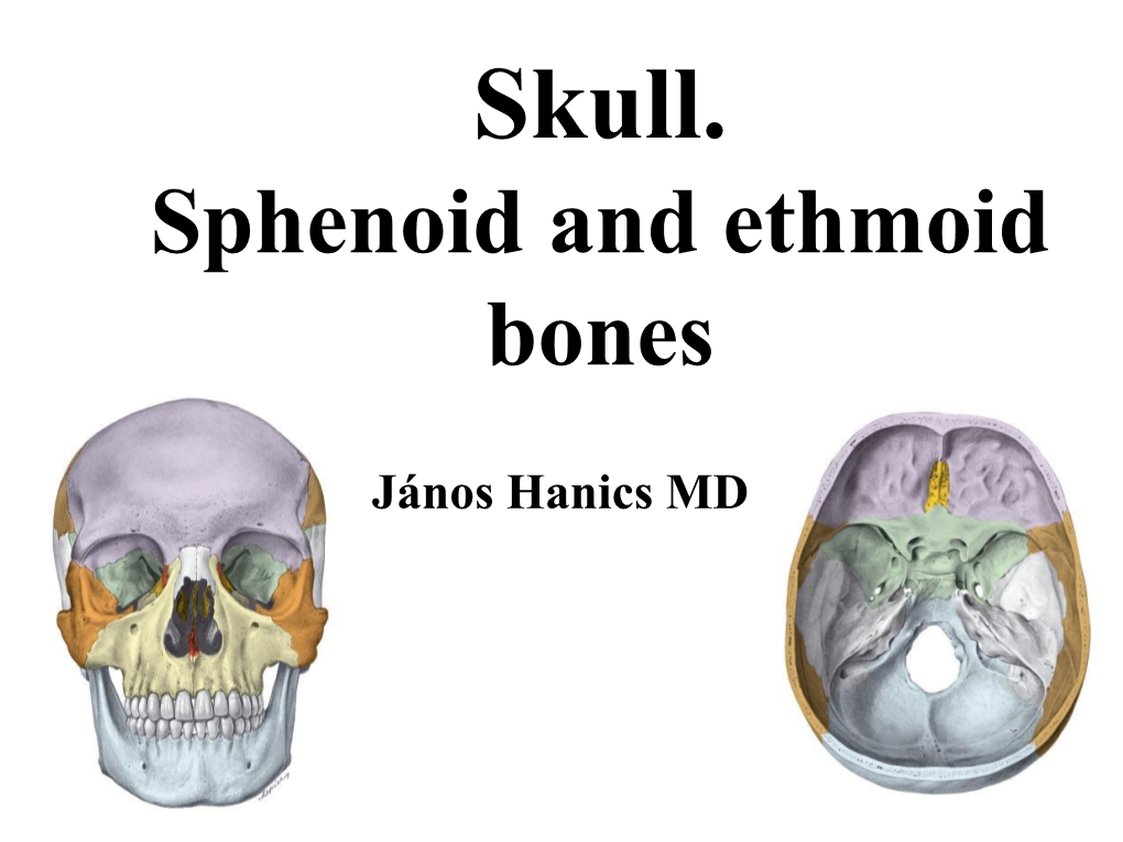 Sphenoid and Ethmoid Bones