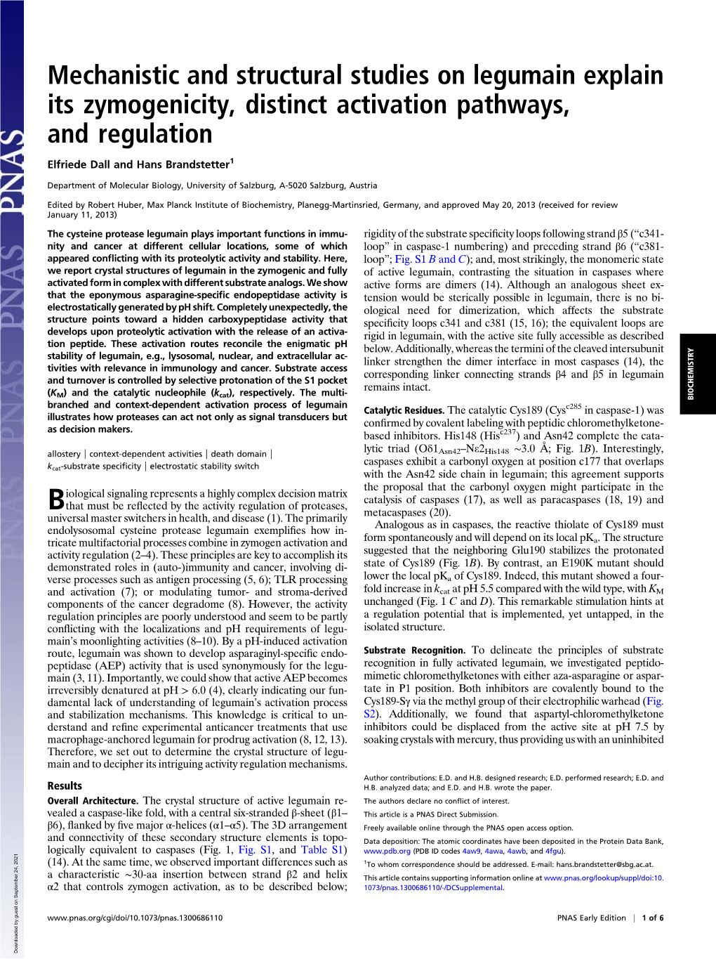 Mechanistic and Structural Studies on Legumain Explain Its Zymogenicity, Distinct Activation Pathways, and Regulation