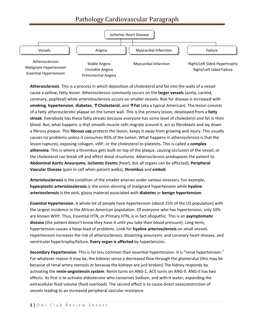 Pathology Cardiovascular Paragraph