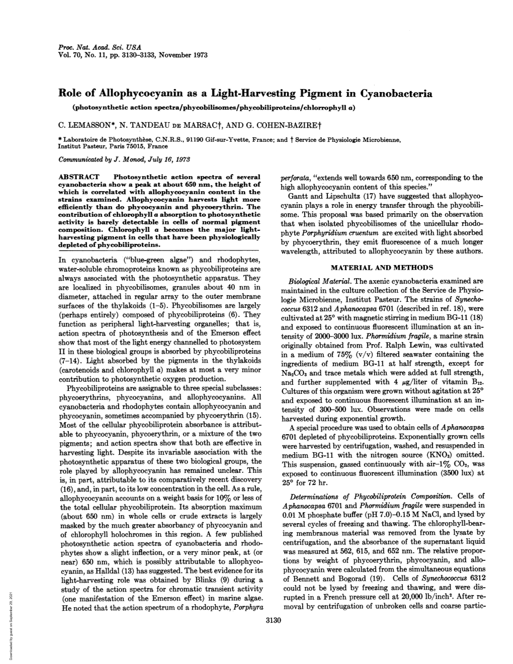 Role of Allophycocyanin As a Light-Harvesting Pigment in Cyanobacteria (Photosynthetic Action Spectra/Phycobilisomes/Phycobiliproteins/Chlorrophyll A) C