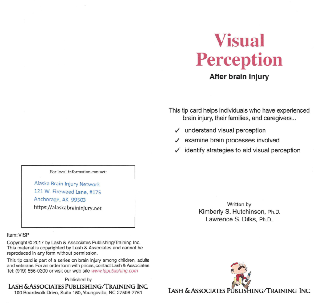 Visual Perception After Brain Injury