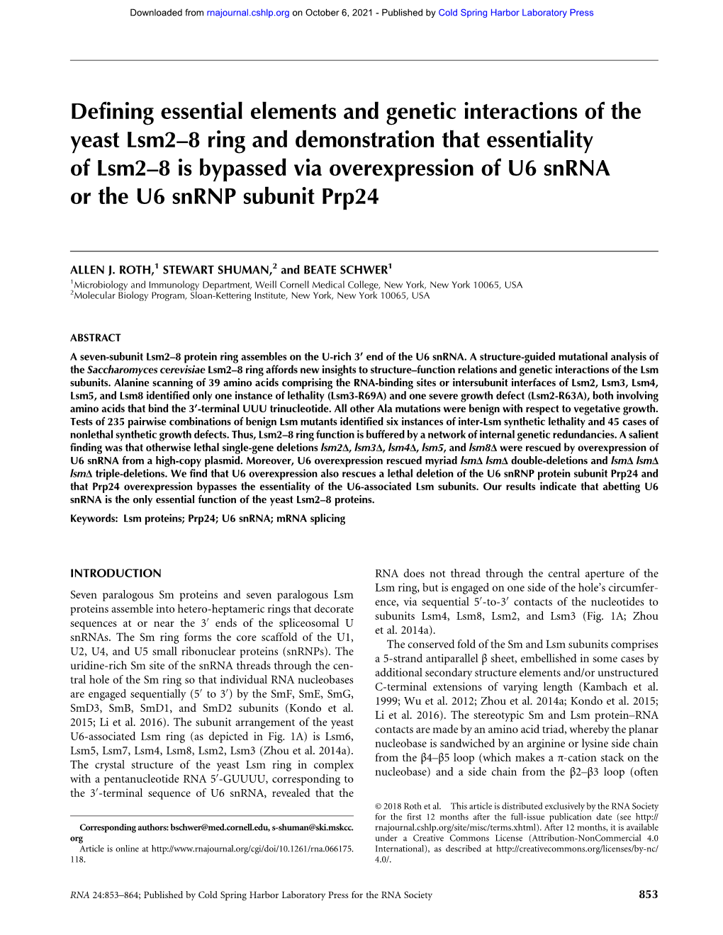 Defining Essential Elements and Genetic Interactions of the Yeast Lsm2–8 Ring and Demonstration That Essentiality of Lsm2–8