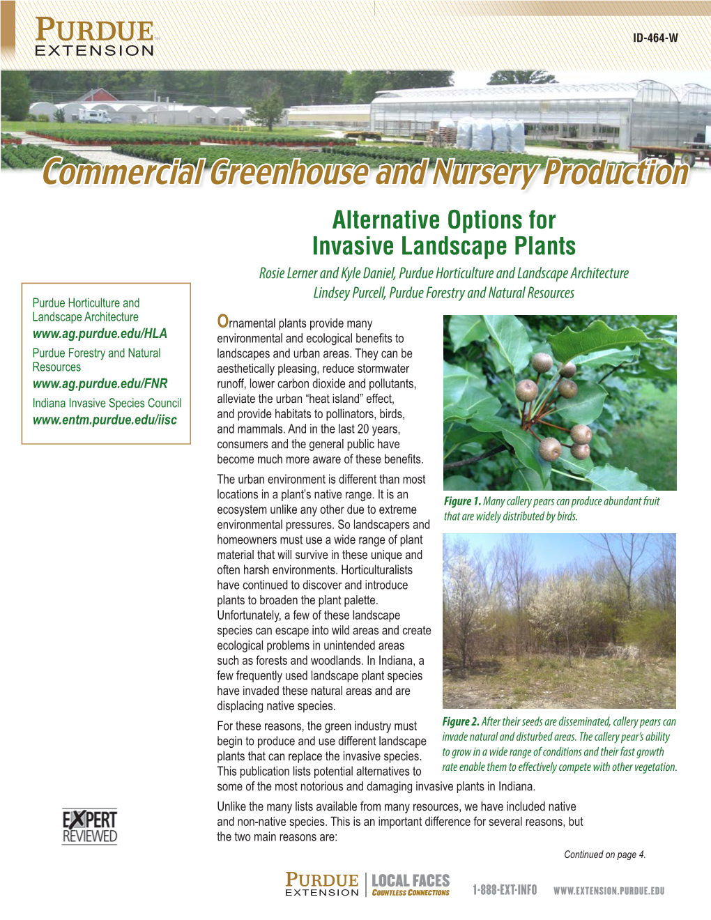 Alternative Options for Invasive Landscape Plants