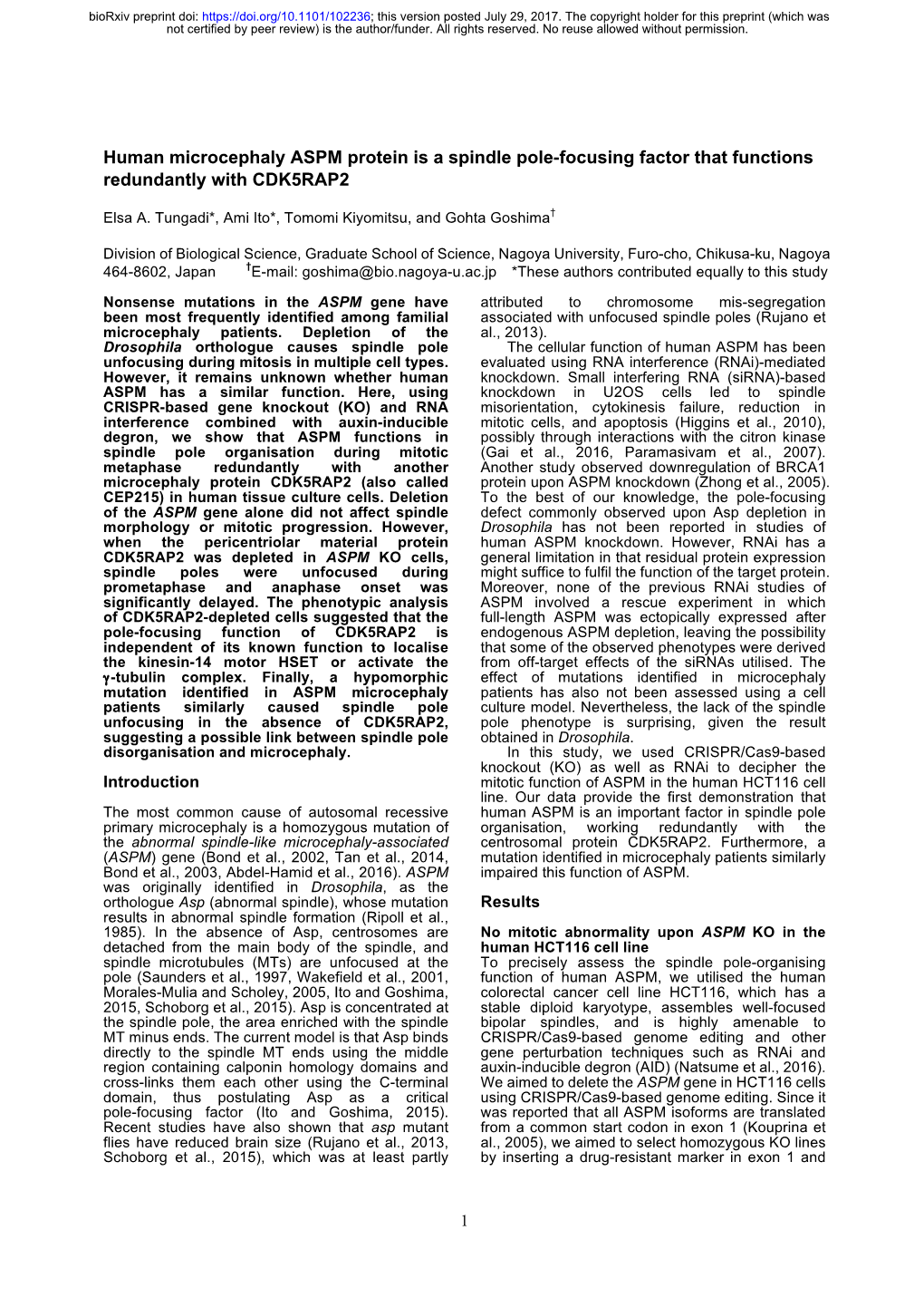 Human Microcephaly ASPM Protein Is a Spindle Pole-Focusing Factor That Functions Redundantly with CDK5RAP2