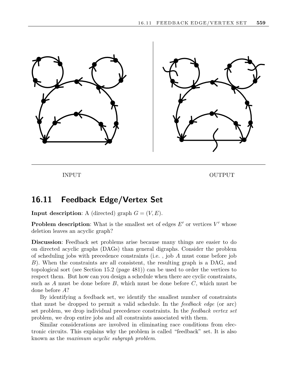 16.11 Feedback Edge/Vertex Set 559