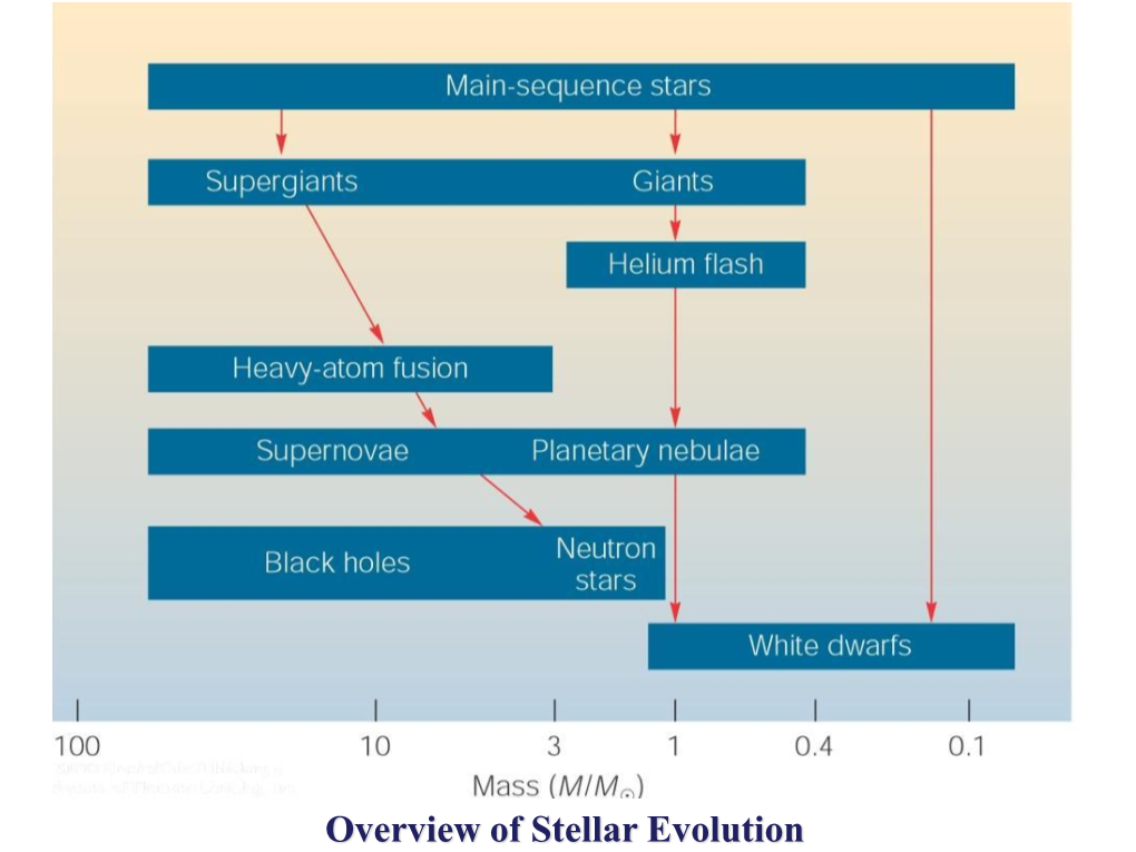 Overview of Stellar Evolution Walter Baade 1893-1960