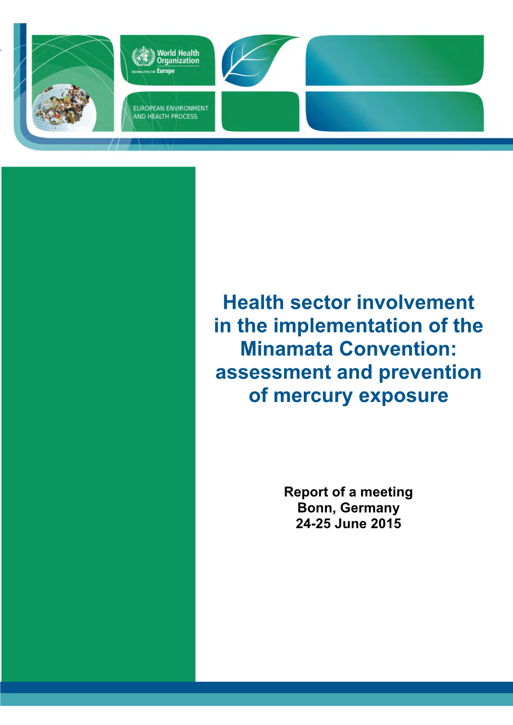 Health Sector Involvement in the Implementation of the Minamata