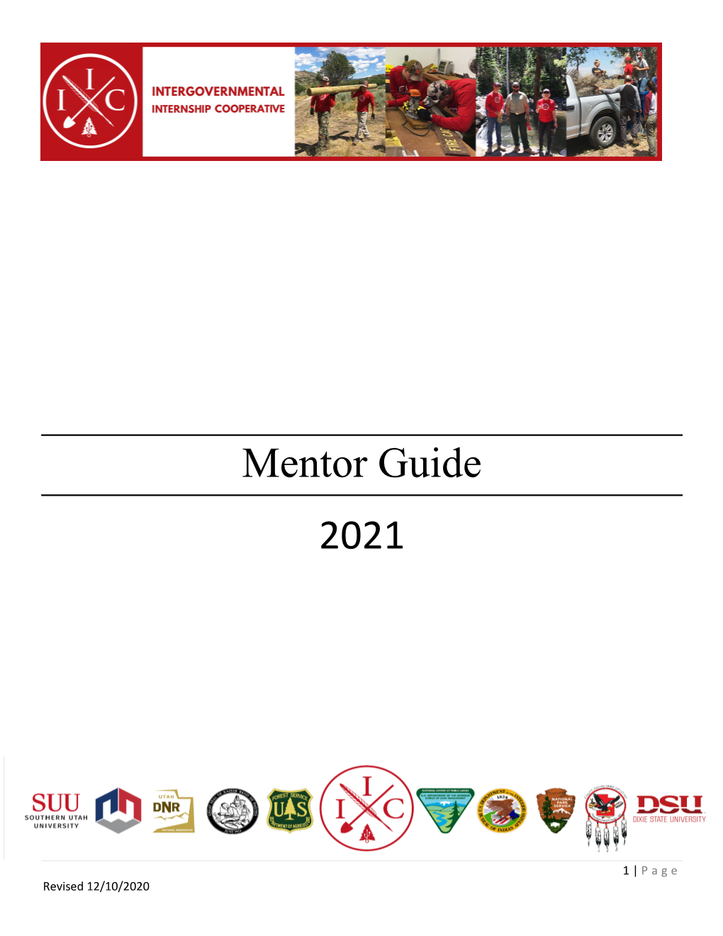 Mentor Guide 2021