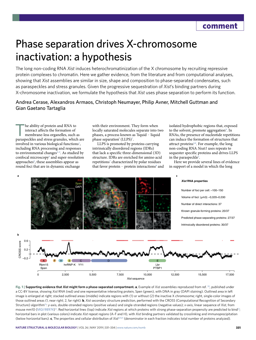 Phase Separation Drives X-Chromosome Inactivation