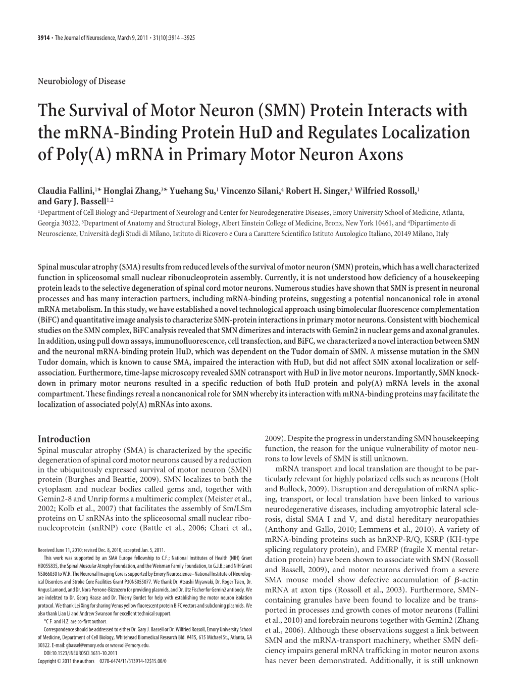The Survival of Motor Neuron (SMN) Protein Interacts with the Mrna-Binding Protein Hud and Regulates Localization of Poly(A) Mrna in Primary Motor Neuron Axons