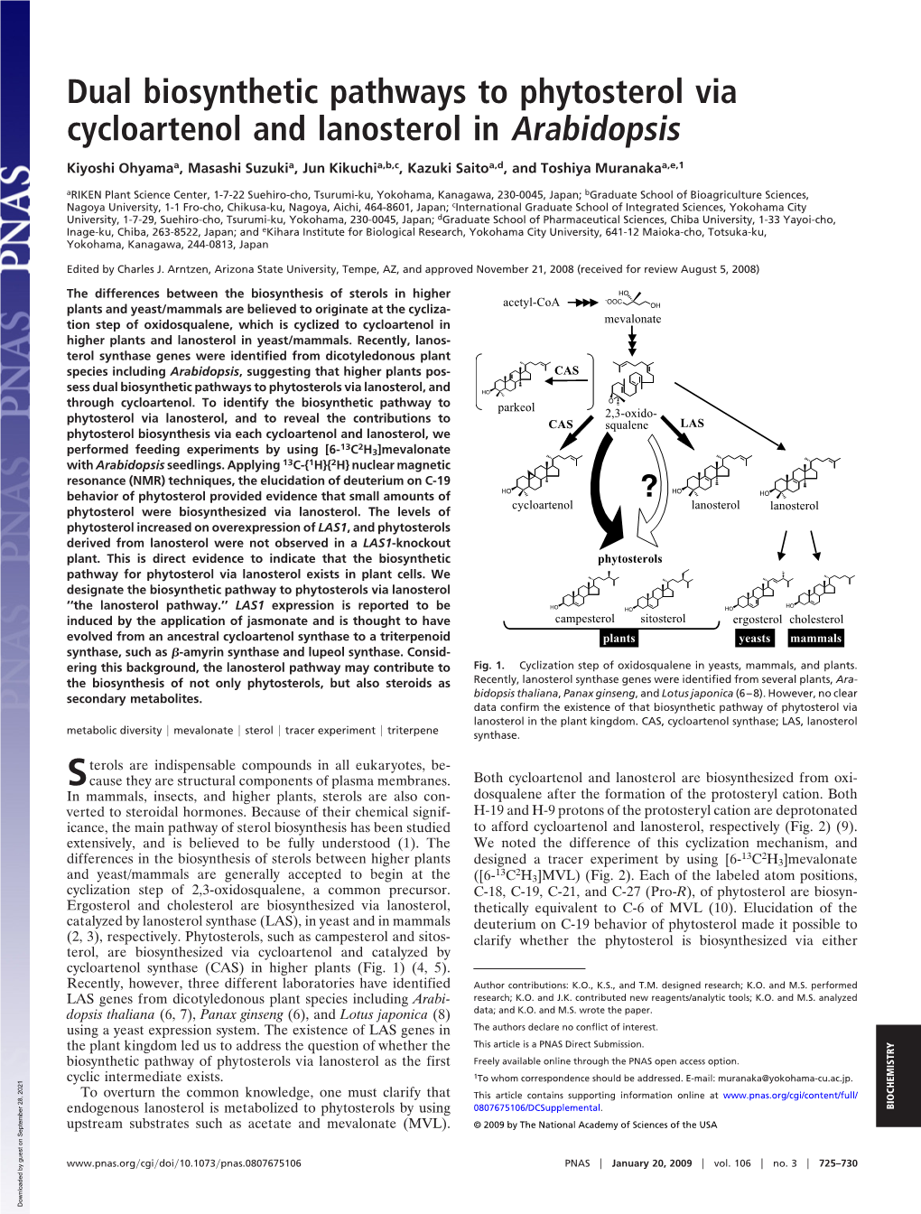 Dual Biosynthetic Pathways to Phytosterol Via Cycloartenol and Lanosterol in Arabidopsis