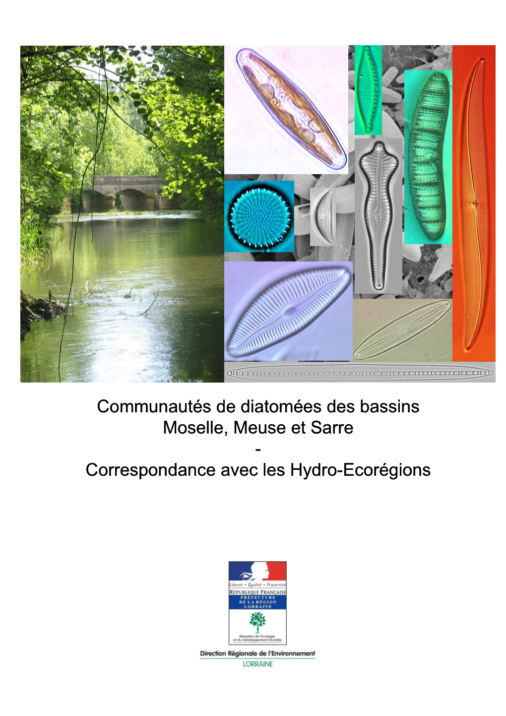 Communautés De Diatomées Moselle Meuse Sarre