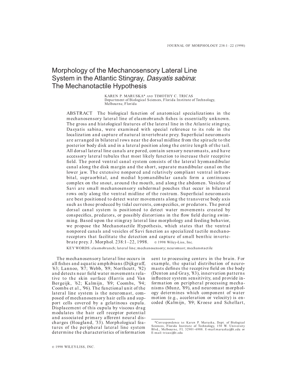 Morphology of the Mechanosensory Lateral Line System in the Atlantic Stingray, Dasyatis Sabina: the Mechanotactile Hypothesis