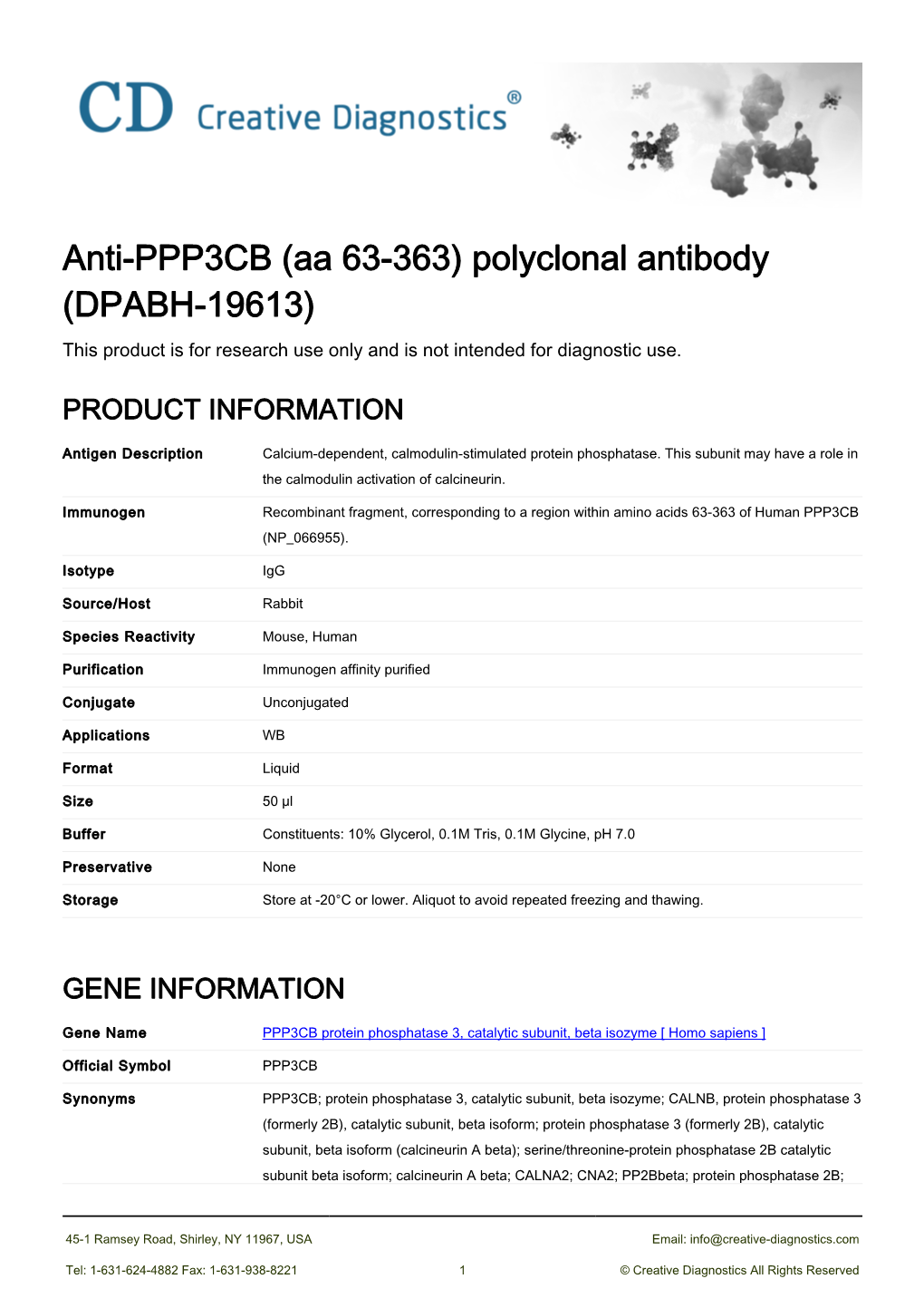Anti-PPP3CB (Aa 63-363) Polyclonal Antibody (DPABH-19613) This Product Is for Research Use Only and Is Not Intended for Diagnostic Use