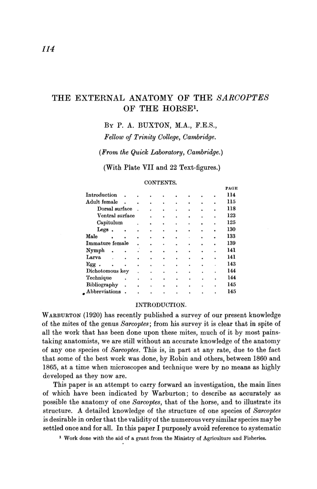 The External Anatomy of the Sarcoptes of the Horse1