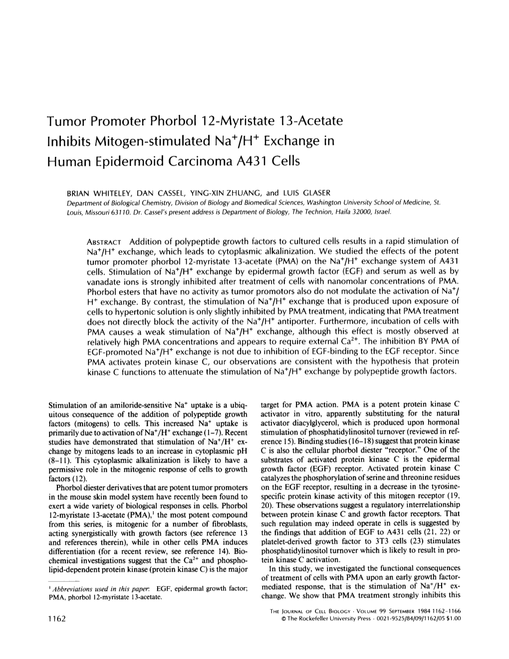 Tumor Promoter Phorbol 12-Myristate 13-Acetate Inhibits Mitogen-Stimulated Na+/H ÷ Exchange in Human Epidermoid Carcinoma A431 Cells