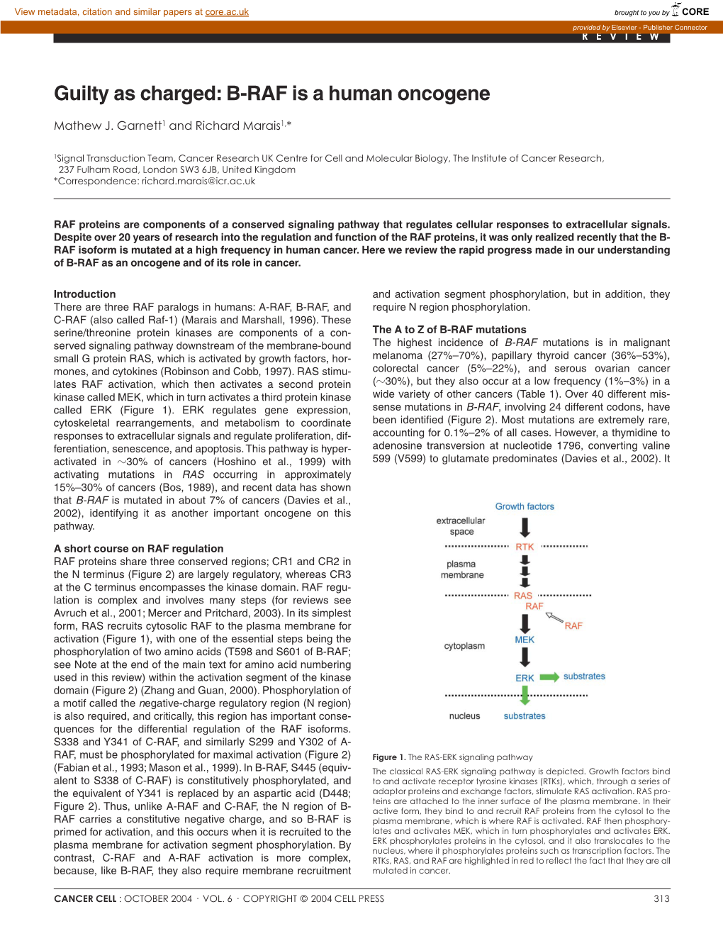 Guilty As Charged: B-RAF Is a Human Oncogene