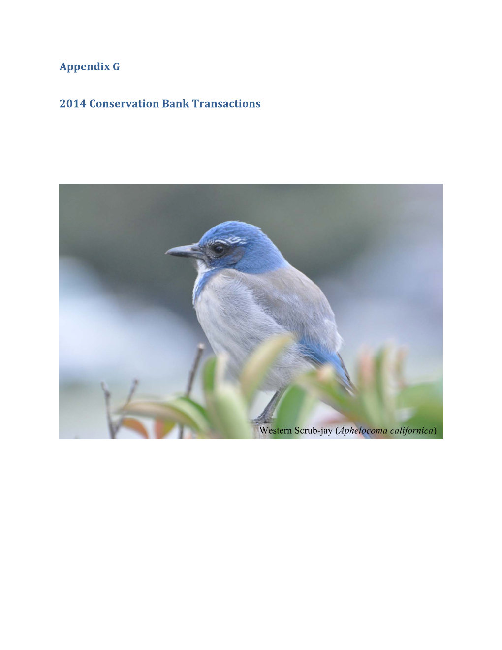 Appendix G 2014 Conservation Bank Transactions