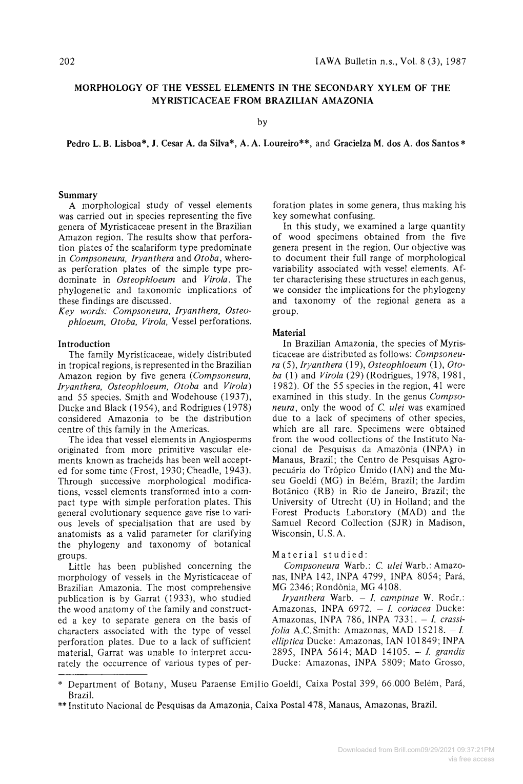 202 IAWA Bulletin N.S., Vol. 8 (3),1987 MORPHOLOGY of the VESSEL