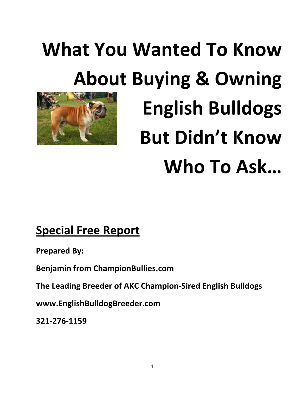 What You Wanted to Know About Buying & Owning English Bulldogs