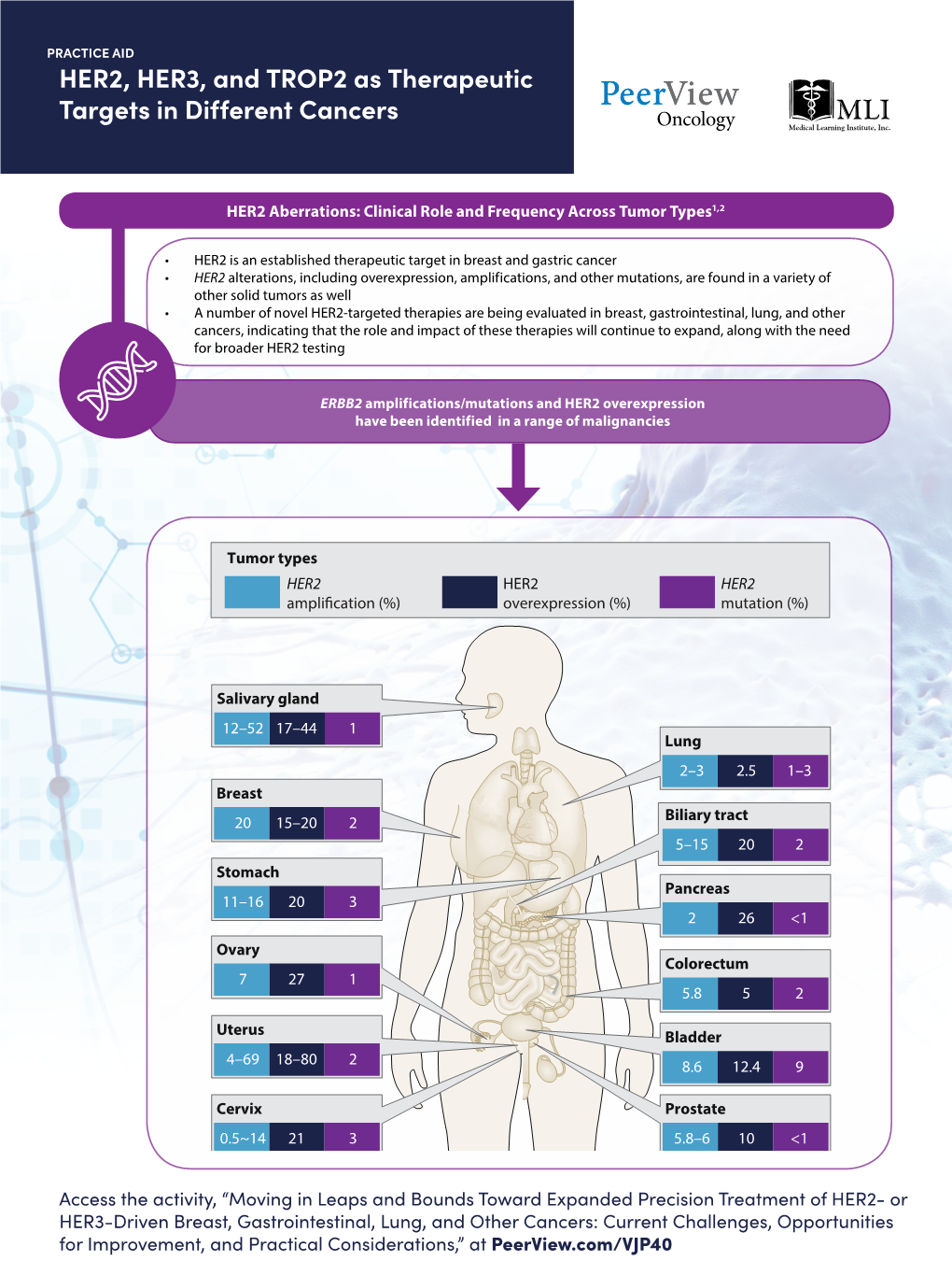 HER2, HER3, and TROP2 As Therapeutic Targets in Different Cancers