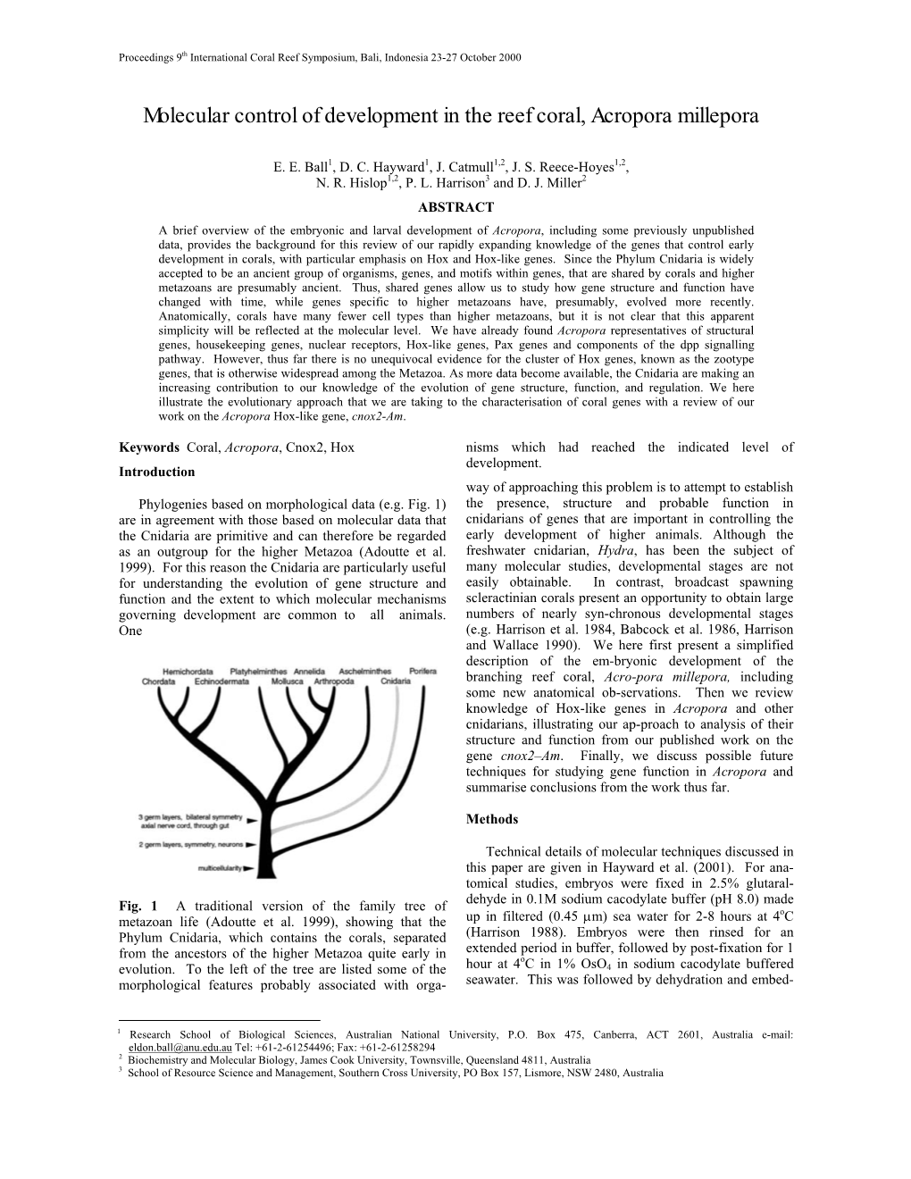 Molecular Control of Development in the Reef Coral, Acropora Millepora