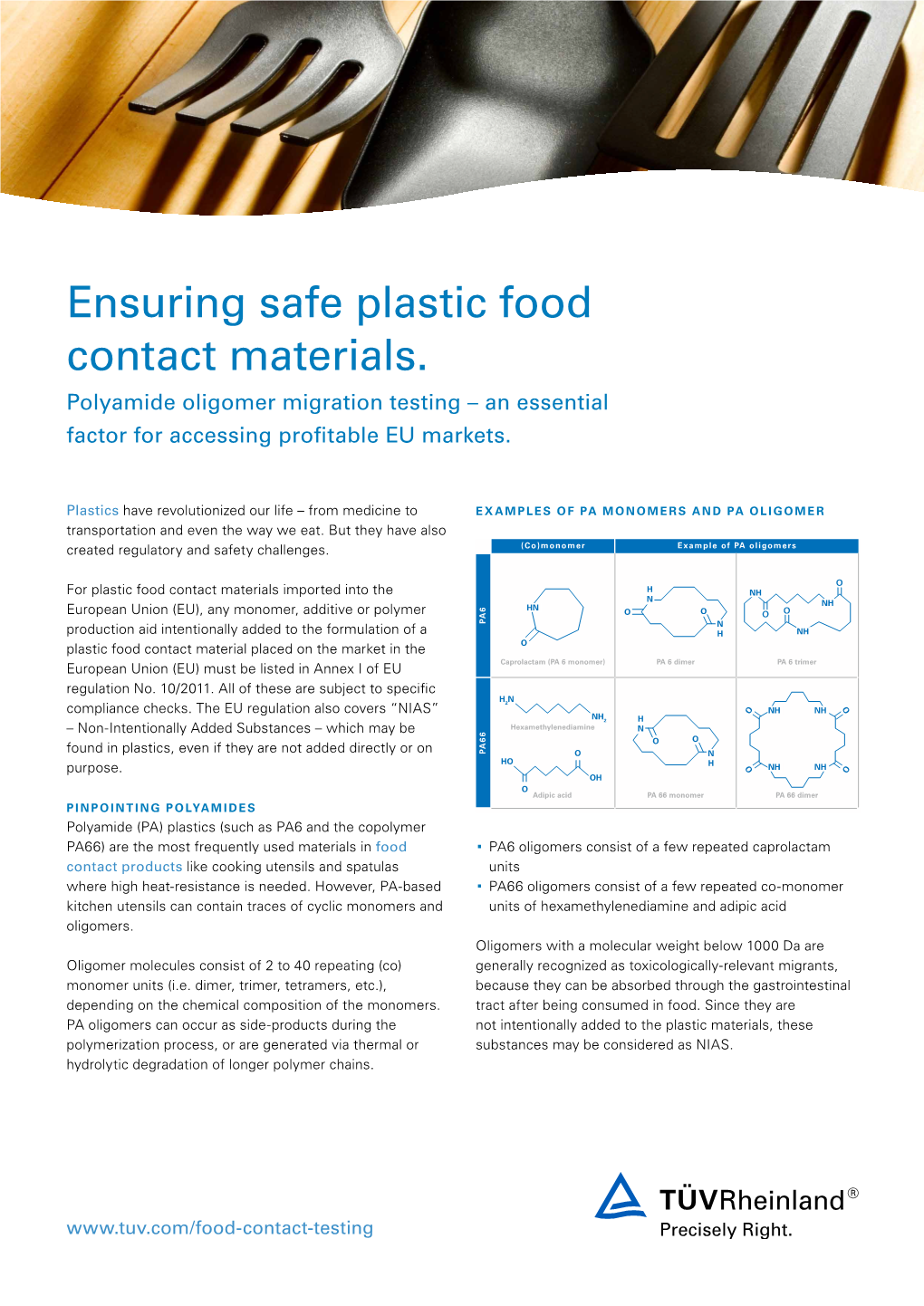 Polyamide Oligomer Migration Testing – an Essential Factor for Accessing Profitable EU Markets