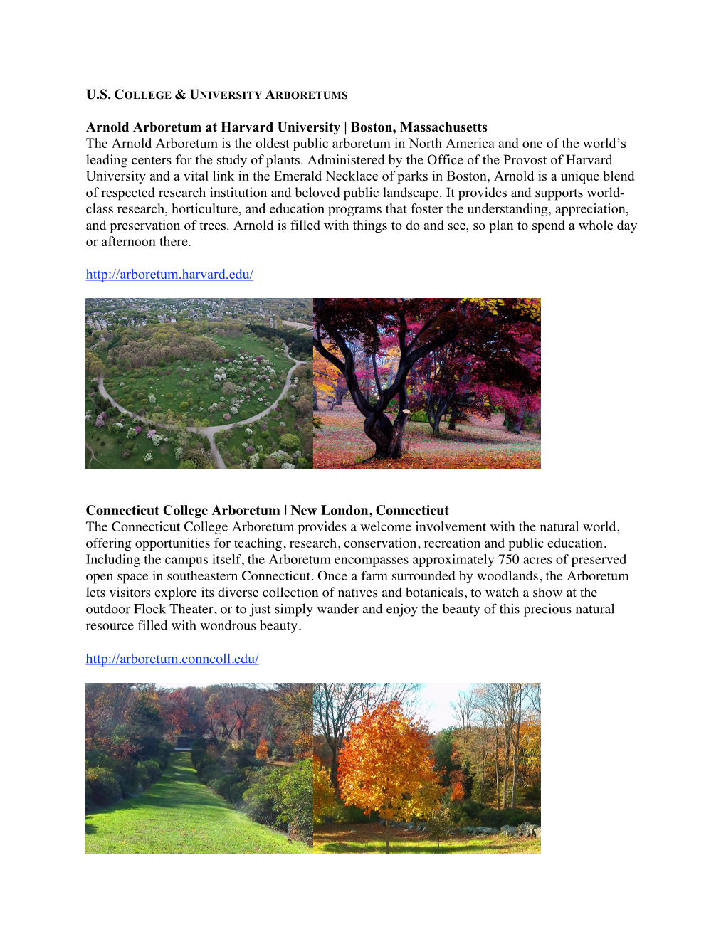 Arnold Arboretum at Harvard University | Boston, Massachusetts