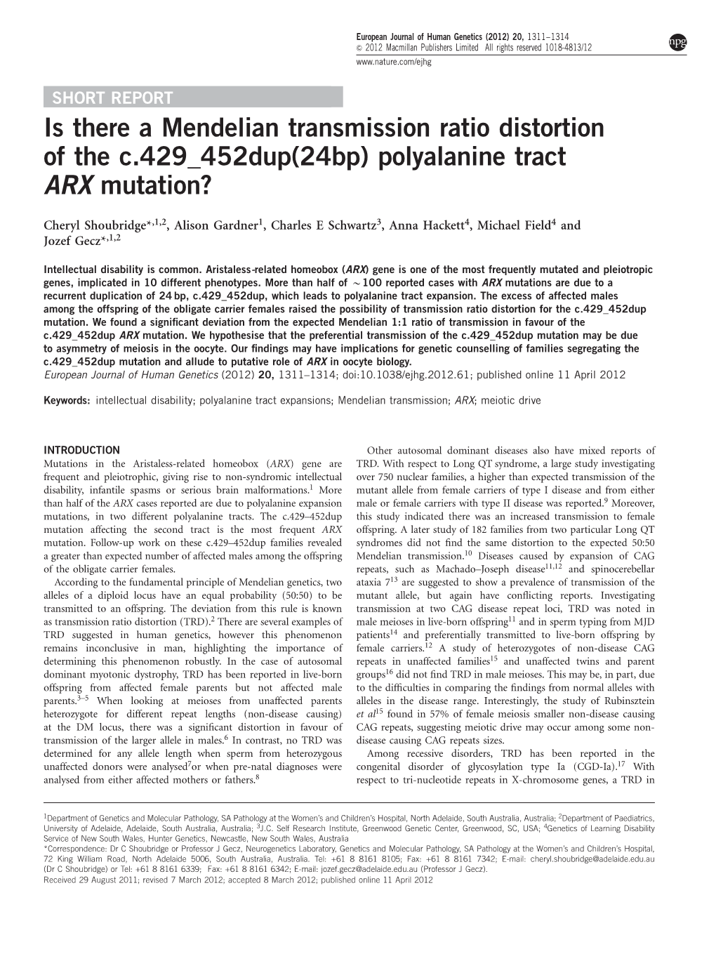 Is There a Mendelian Transmission Ratio Distortion of the C.429 452Dup(24Bp) Polyalanine Tract ARX Mutation?