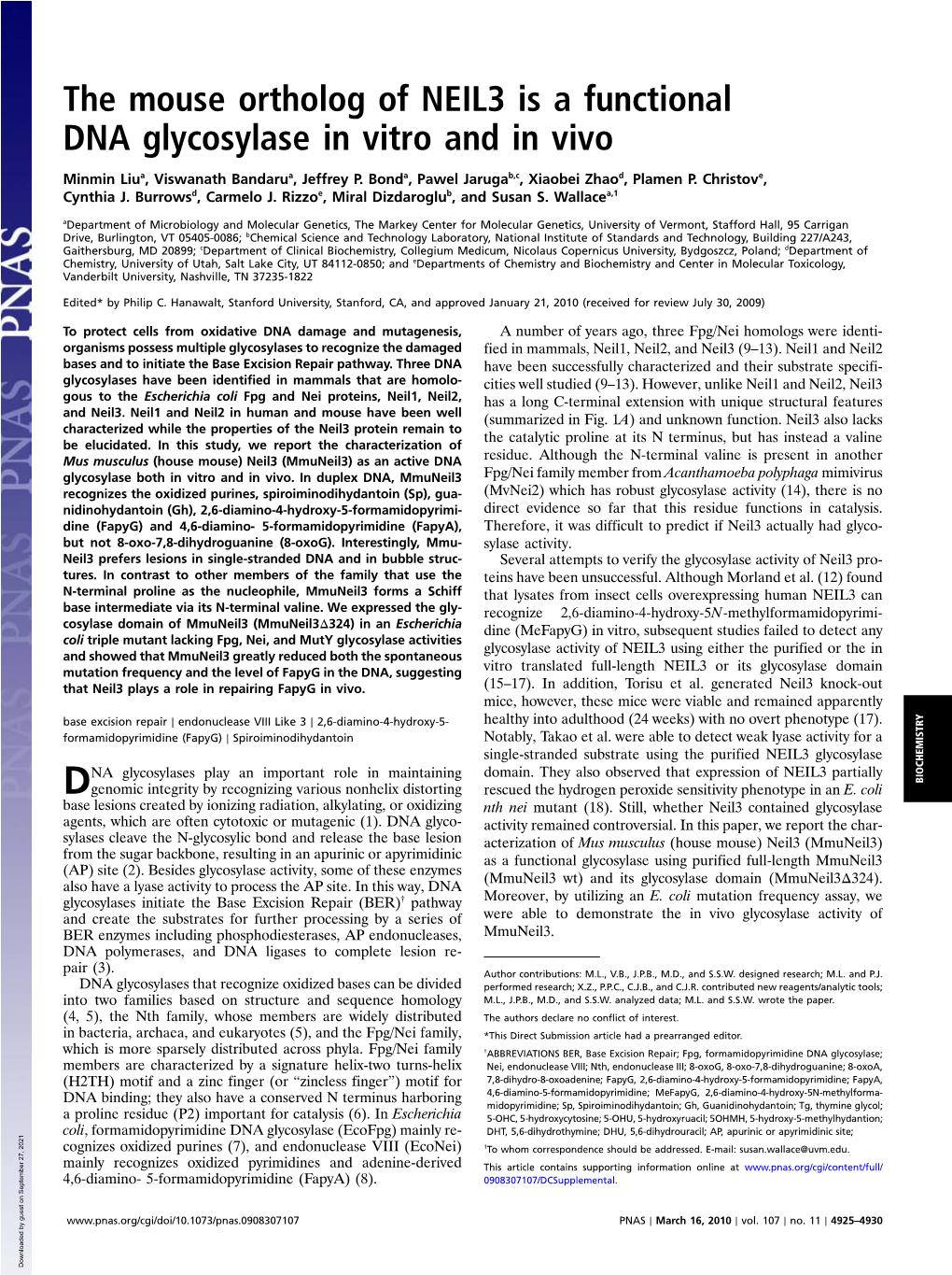 The Mouse Ortholog of NEIL3 Is a Functional DNA Glycosylase in Vitro and in Vivo