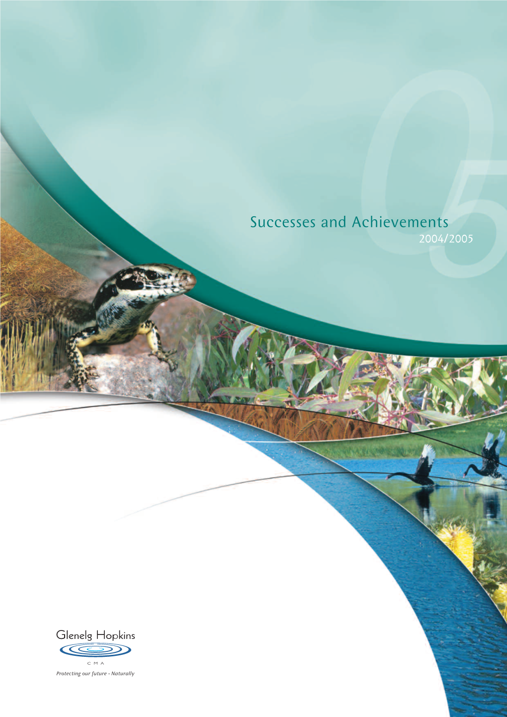 Successes and Achievements 2004/2005 VISION