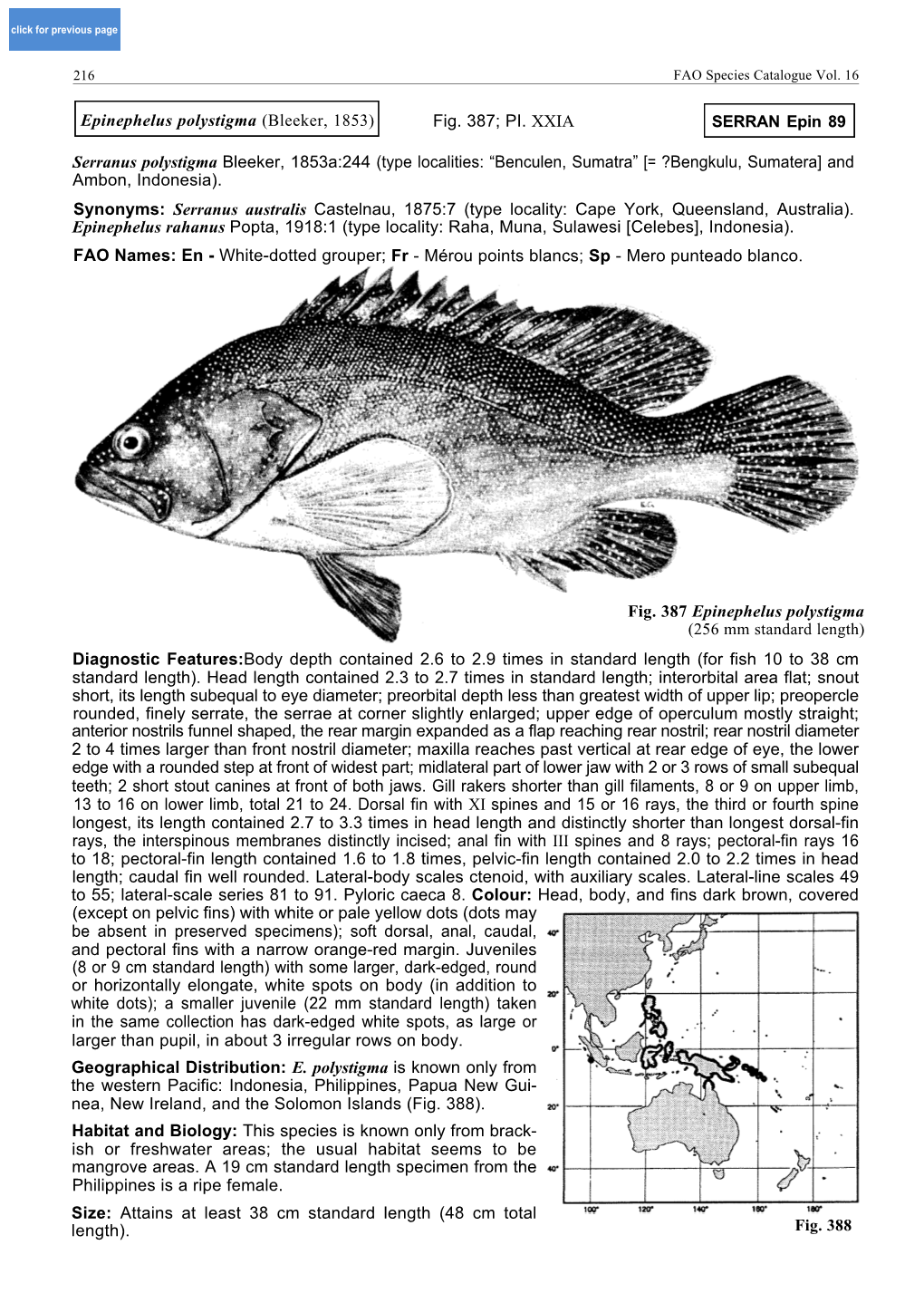 Serranus Polystigma Bleeker, 1853A:244 (Type Localities: “Benculen, Sumatra” [= ?Bengkulu, Sumatera] and Ambon, Indonesia)