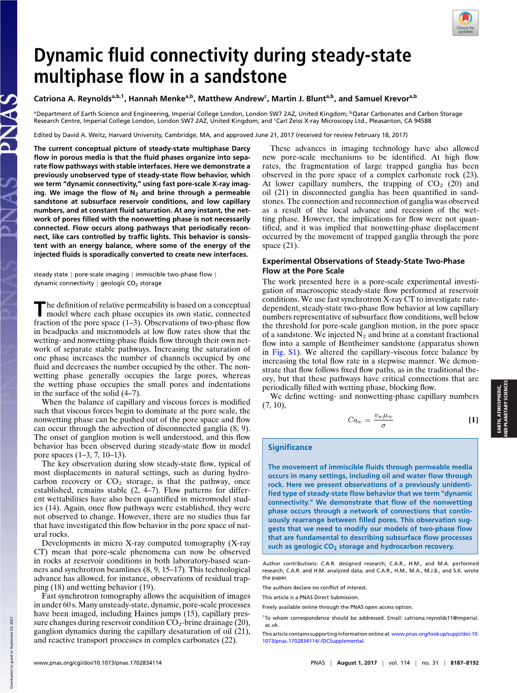 Dynamic Fluid Connectivity During Steady-State Multiphase Flow in A