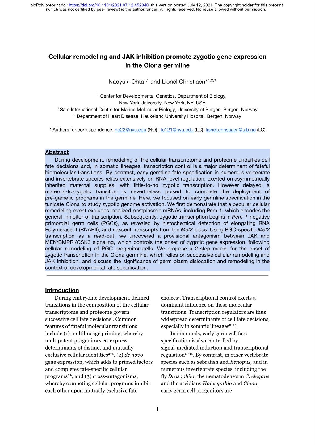 Cellular Remodeling and JAK Inhibition Promote Zygotic Gene Expression in the Ciona Germline