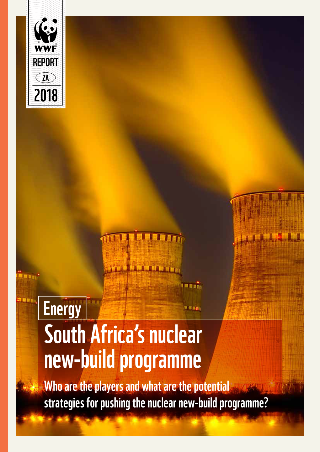 South Africa's Nuclear New-Build Programme: Who Are the Players and What Are the Potential Strategies