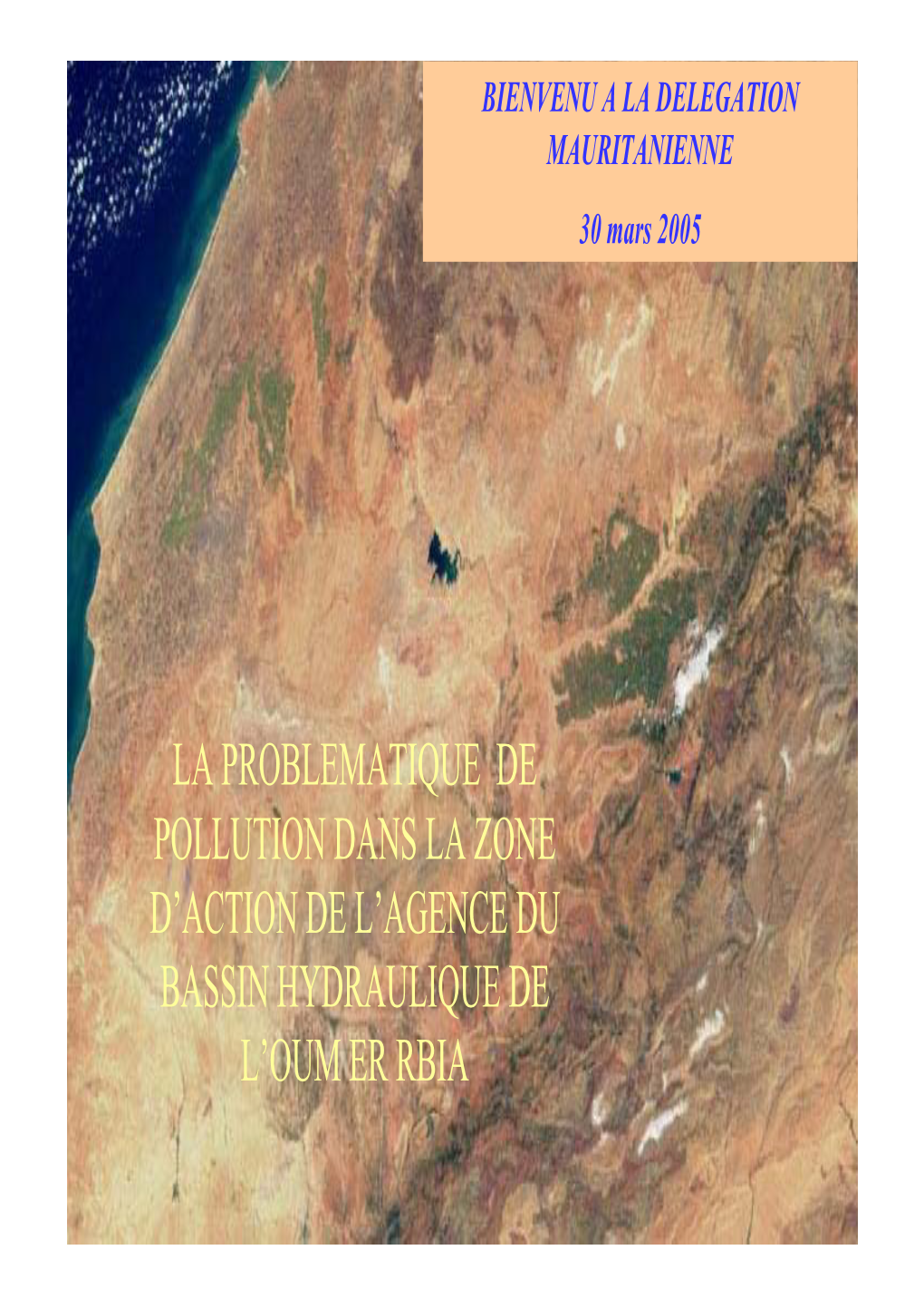La Problematique De Pollution Dans La Zone D’Action De L’Agence Du Bassin Hydraulique De L’Oum Er Rbia